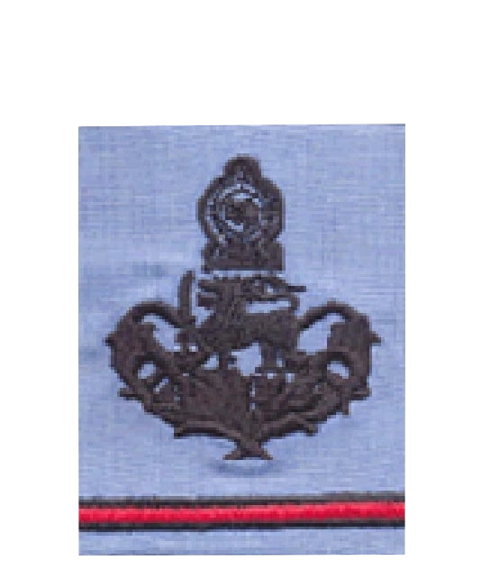 Marshal of AF